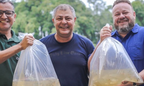 Prefeitura de Volta Redonda e CSN realizam soltura de peixes no Rio Paraíba do Sul